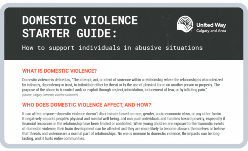 Domestic Violence Starter Guide sample